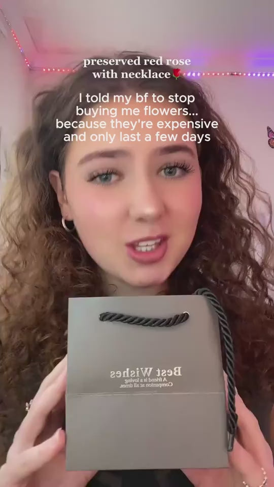 1.mp4